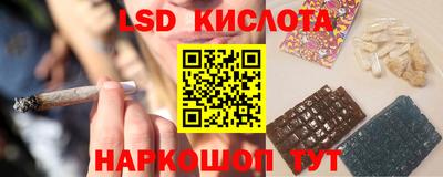spice Моздок