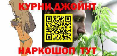 spice Моздок