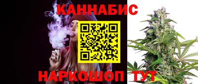 spice Моздок