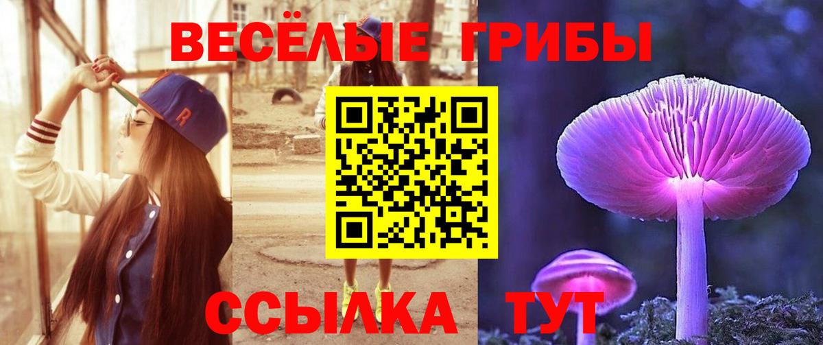 Торжок  Галлюциногенные грибы Magic Shrooms  Вход с VPN 
